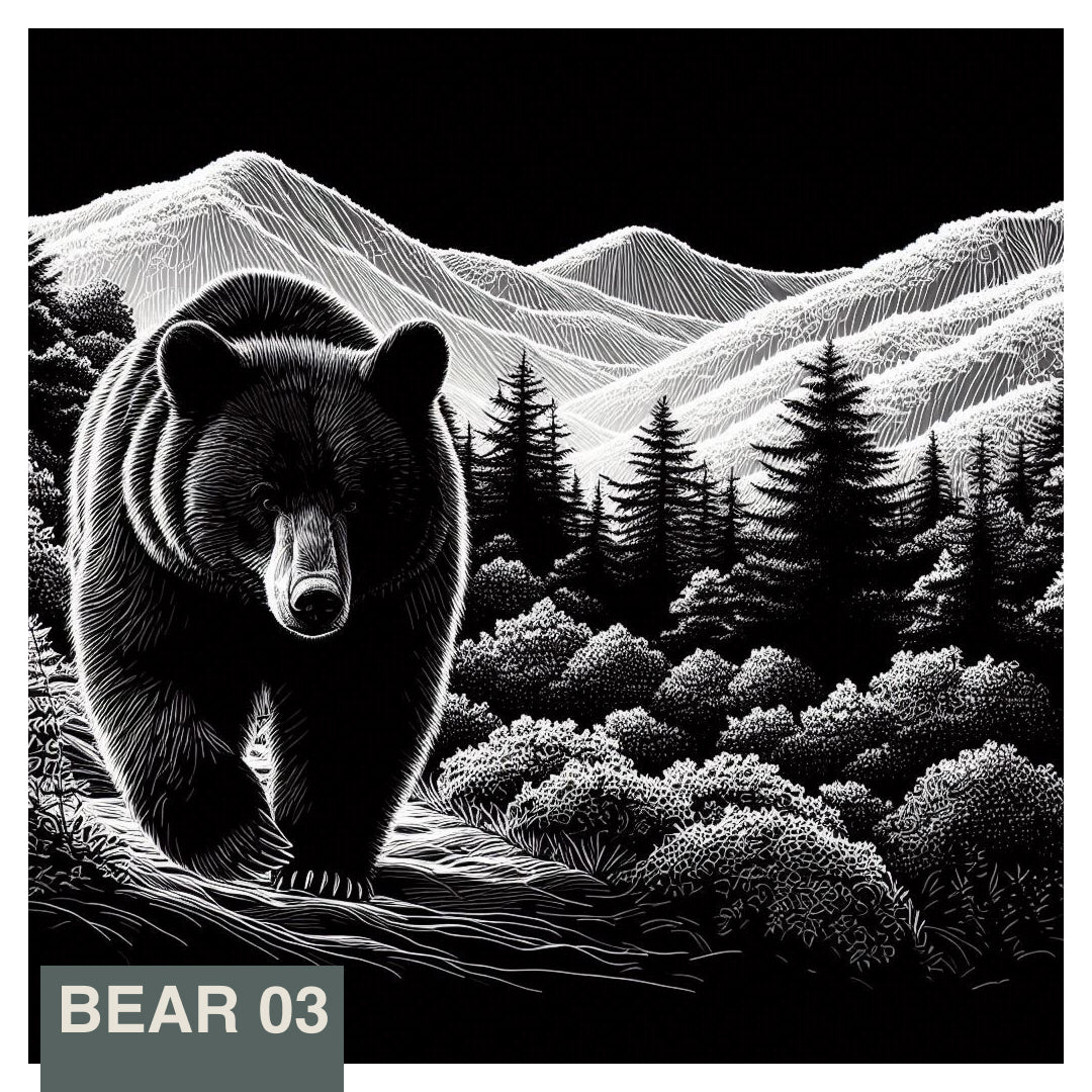 Stainless Steel Flask