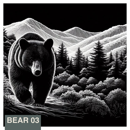 Stainless Steel Flask