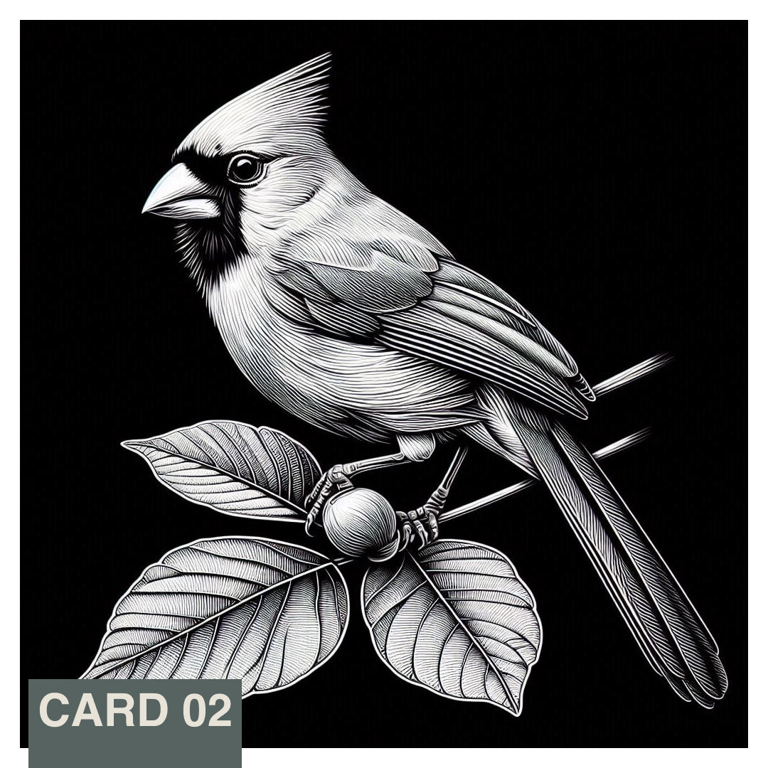 Stainless Steel Flask