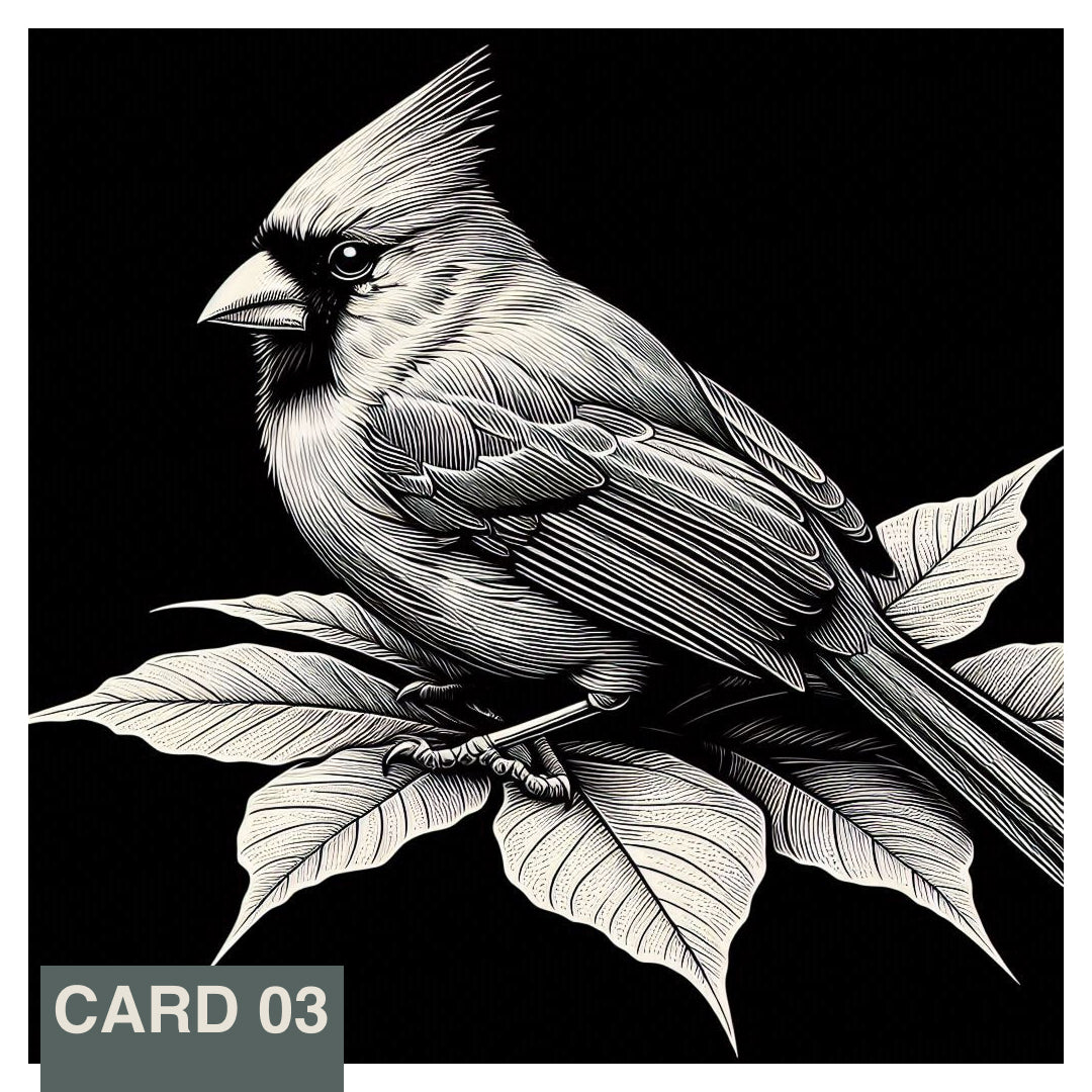 Stainless Steel Flask