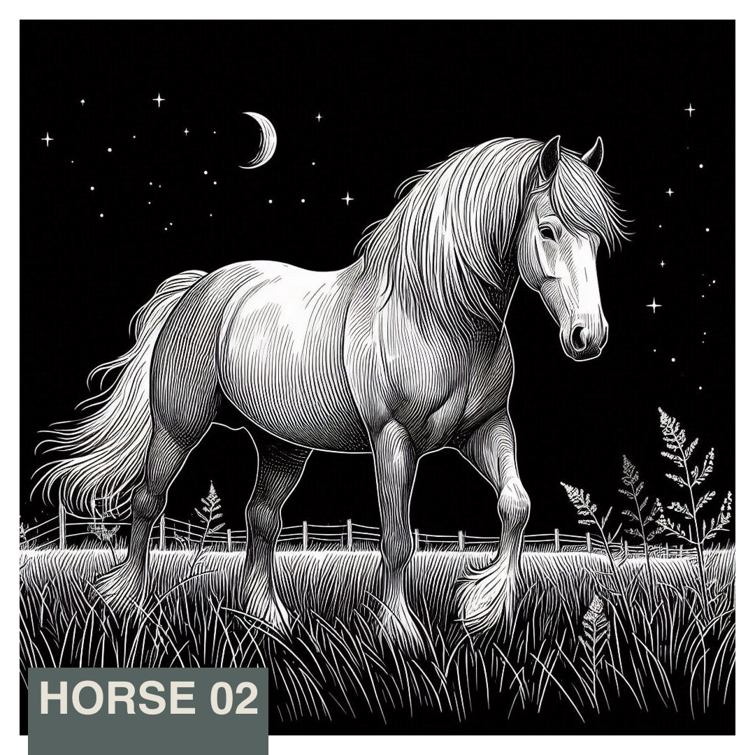 Stainless Steel Flask