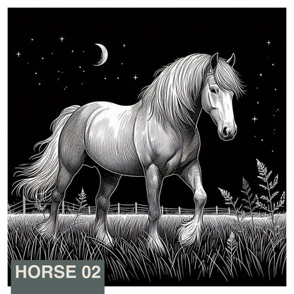 Stainless Steel Flask