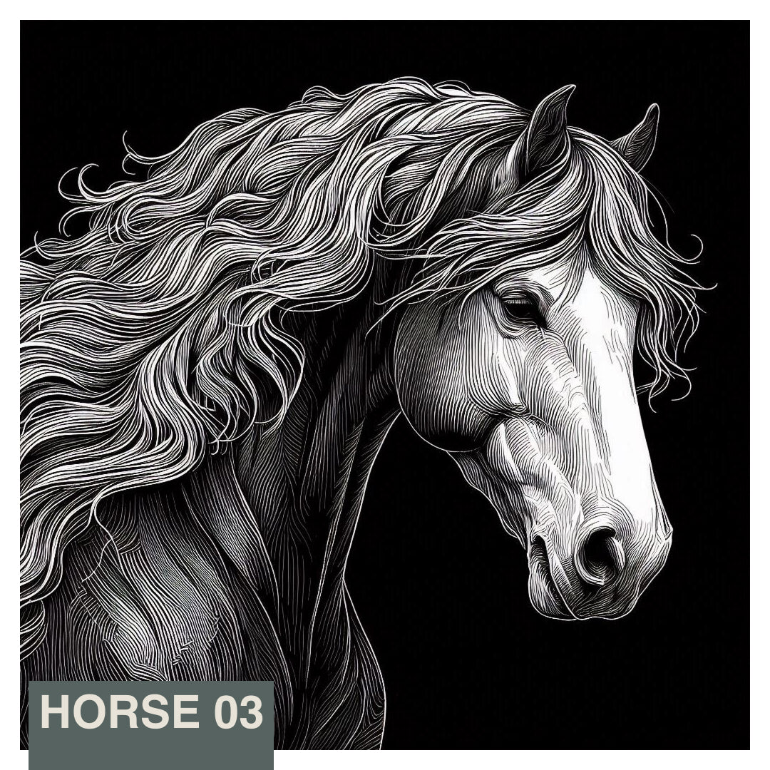 Stainless Steel Flask