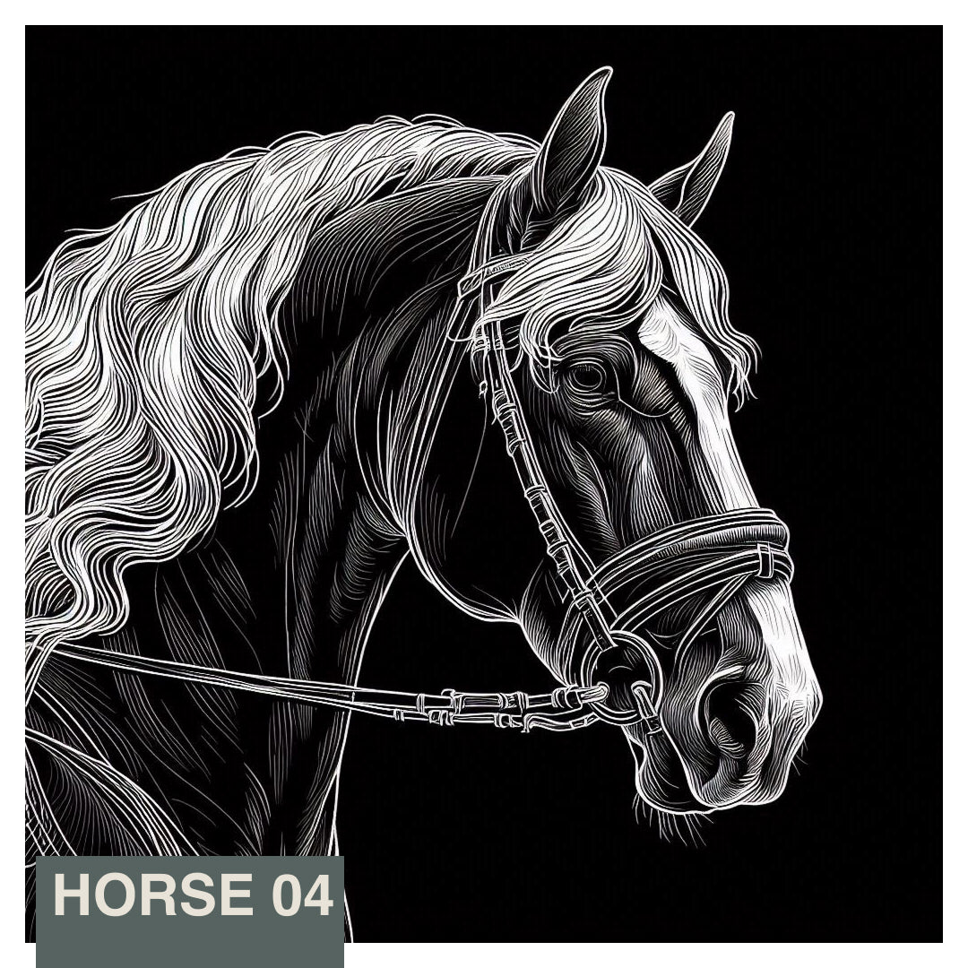 Stainless Steel Flask