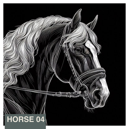 Stainless Steel Flask