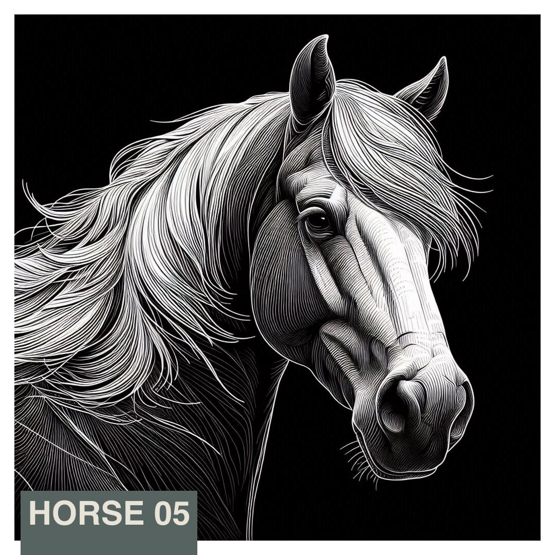 Stainless Steel Flask